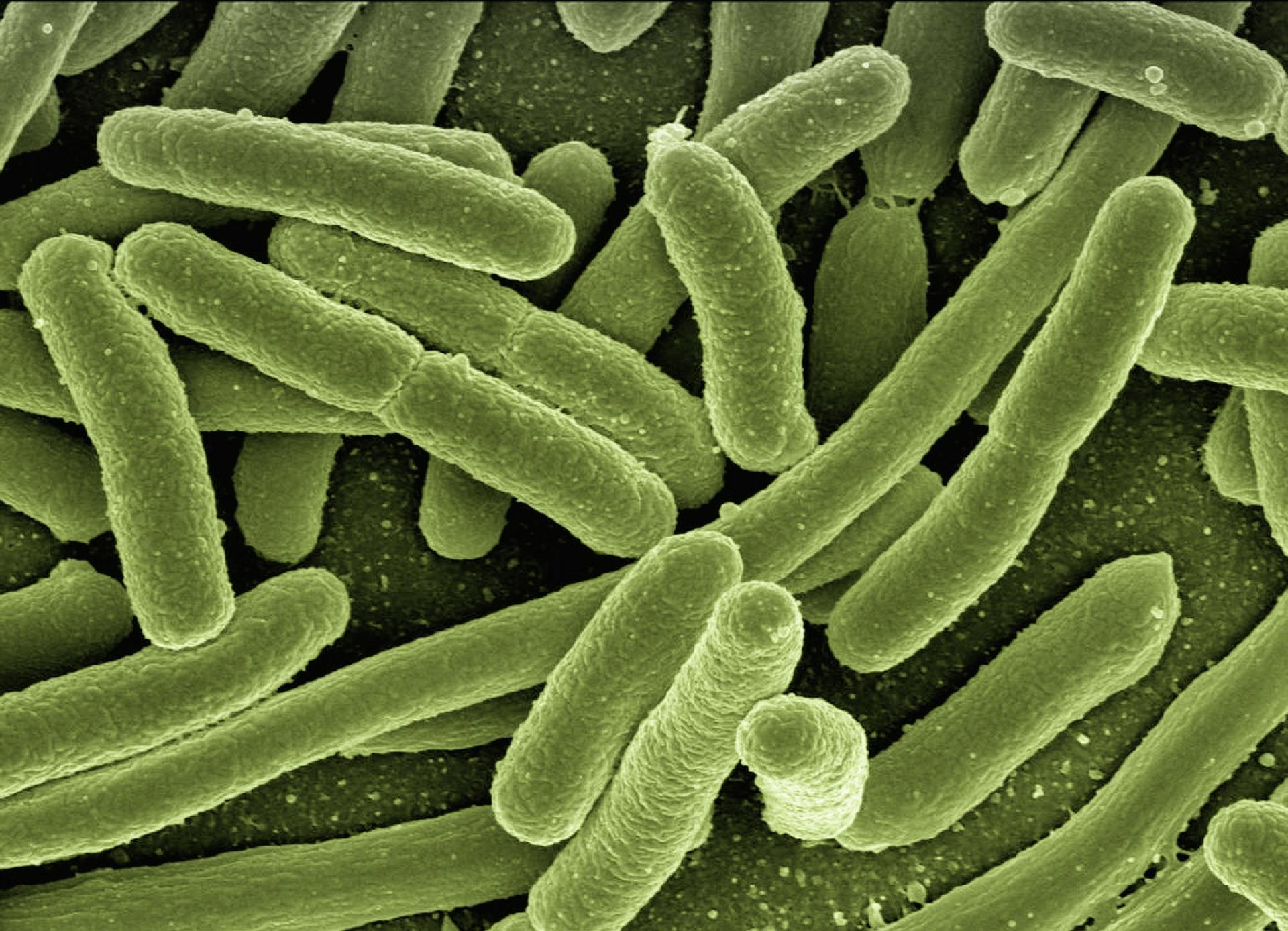What Are The Dangers Of Legionella