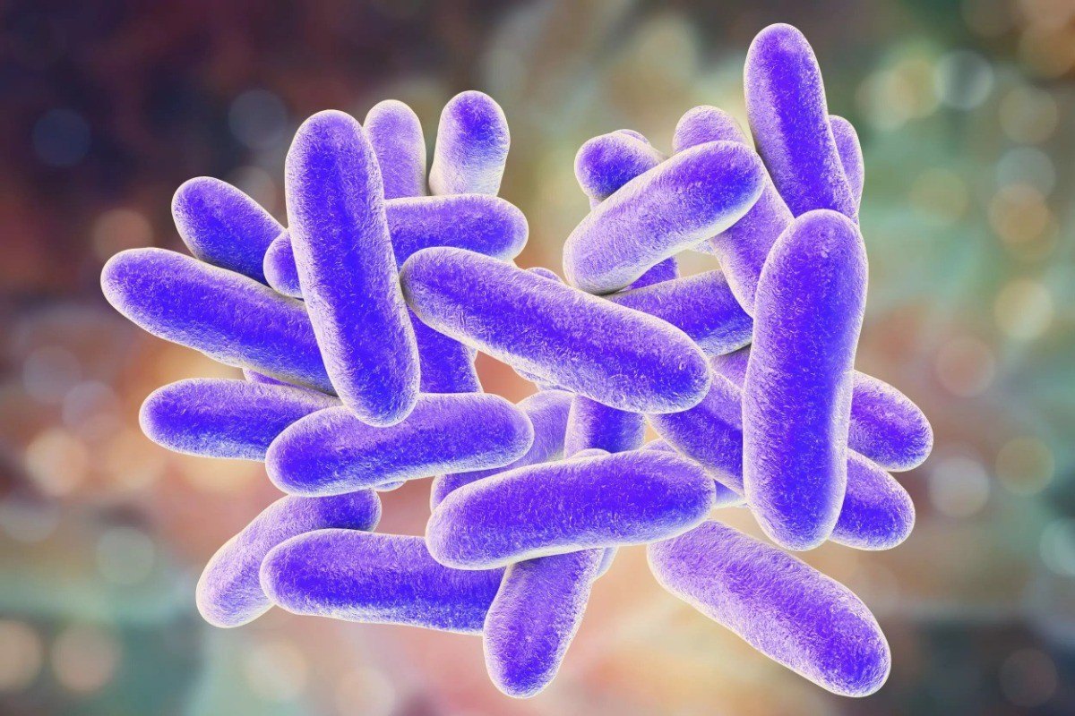 Legionella Risk Assessment