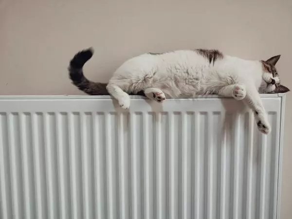 Why Are My Radiators Not Working?